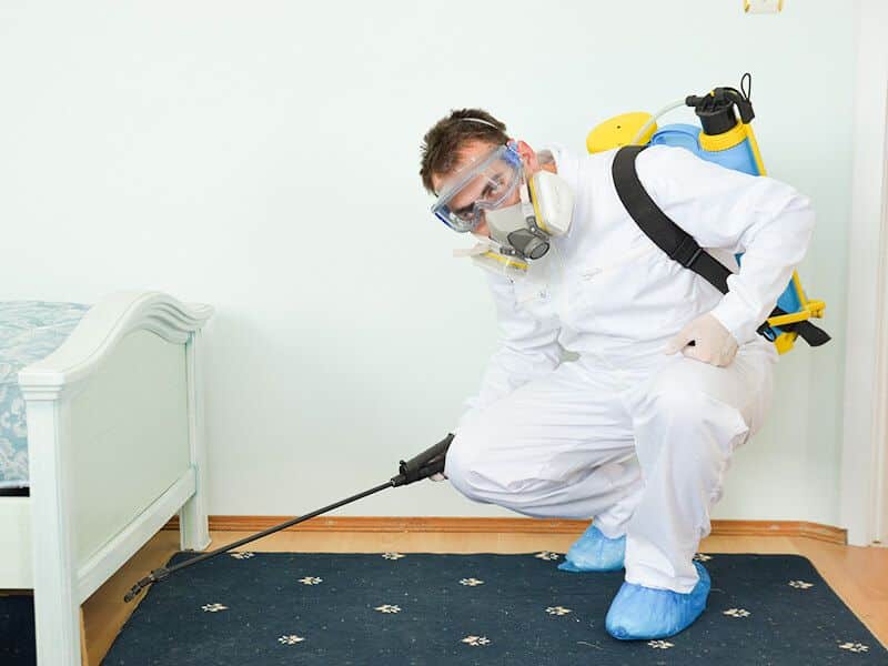 Pest control treatment